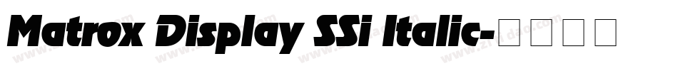 Matrox Display SSi Italic字体转换